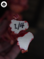 Experiment No. 6 - Image 6